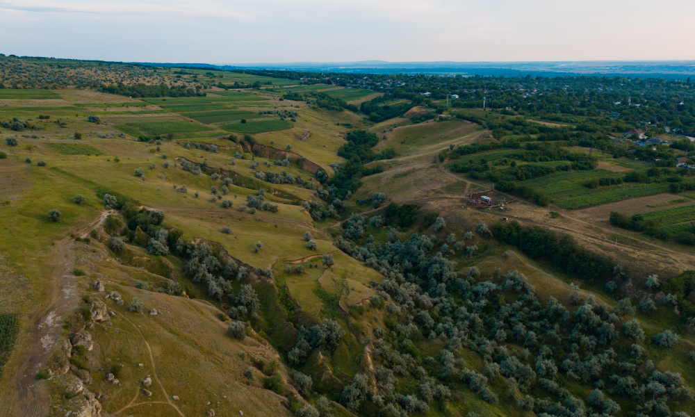 شراء وبيع الأراضي